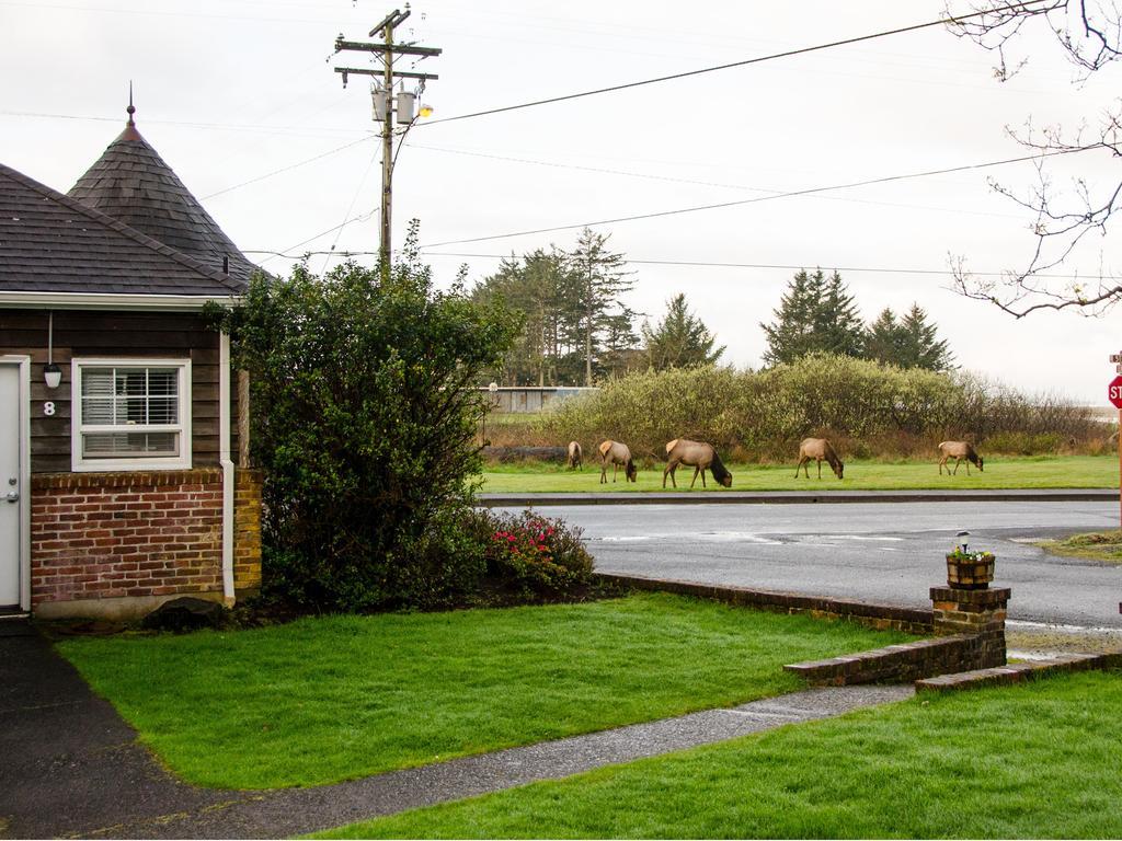 Ecola Creek Lodge Cannon Beach Exterior photo