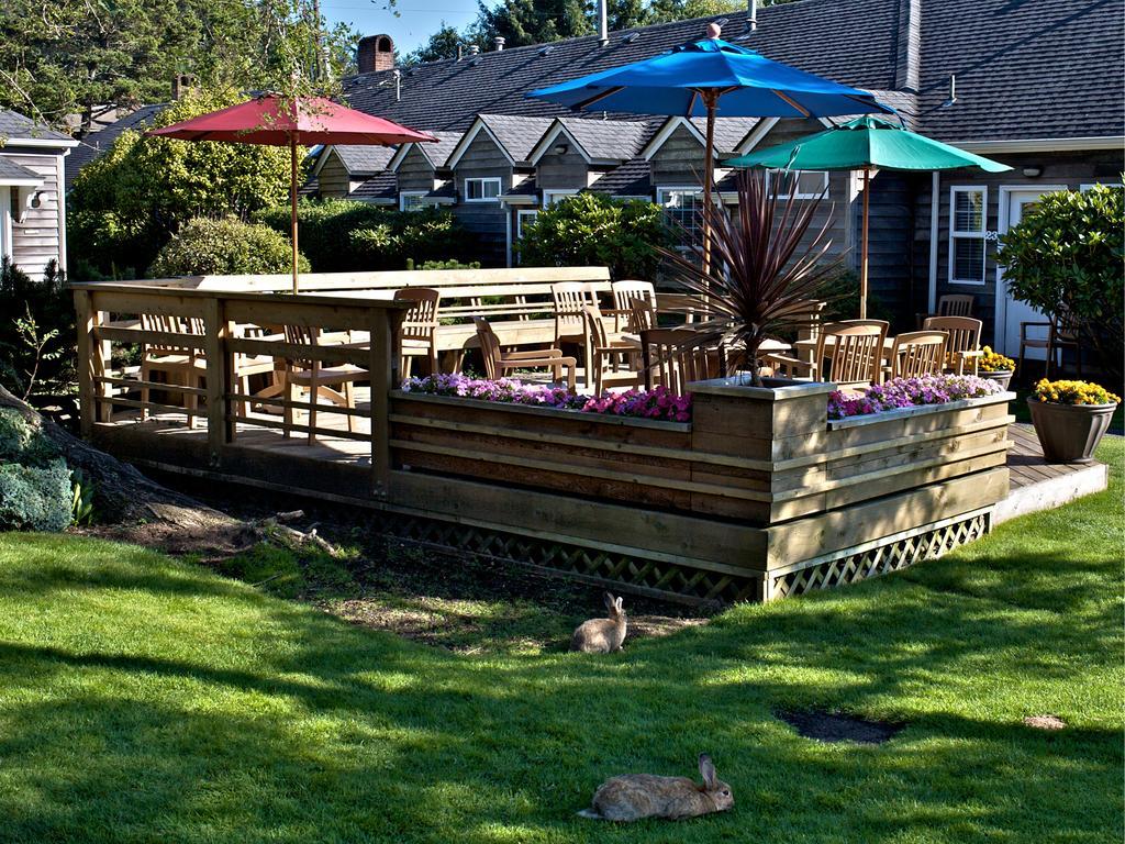 Ecola Creek Lodge Cannon Beach Exterior photo